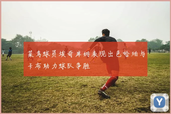 菜鸟球员埃奇库姆表现出色哈珀与卡布助力球队争胜