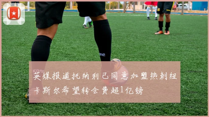 英媒报道托纳利已同意加盟热刺纽卡斯尔希望转会费超1亿镑